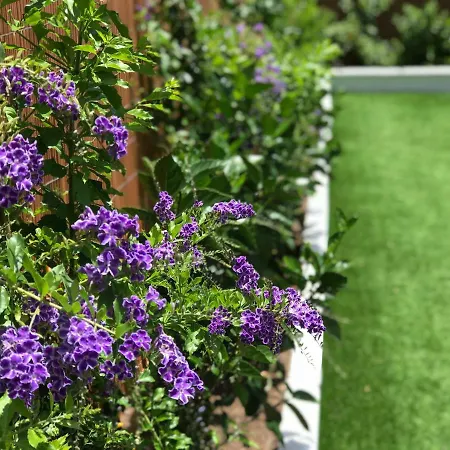 בית נופש Bungalow San Diego Nº 9 *